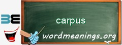 WordMeaning blackboard for carpus